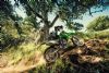 Kawasaki - KLX300R